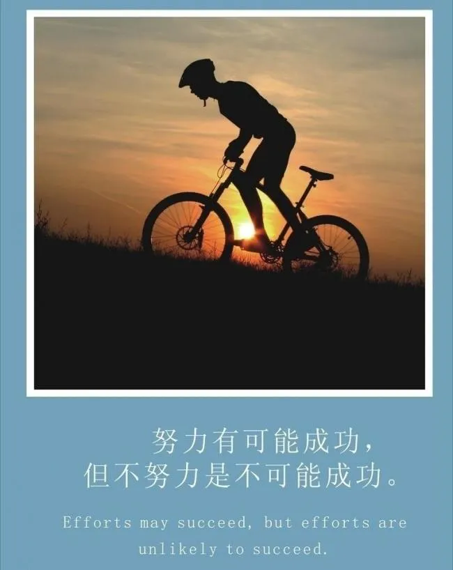 你若不勇敢,谁替你坚强读后感400字