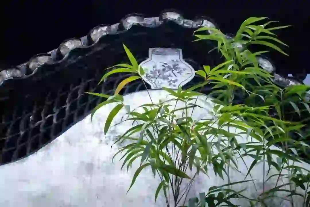 关于夏的诗句50首，带你清凉一夏