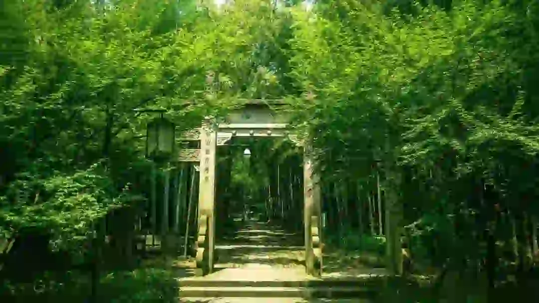 关于夏的诗句50首，带你清凉一夏