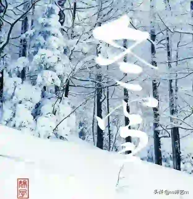 冬雪即景作文500字动静结合
