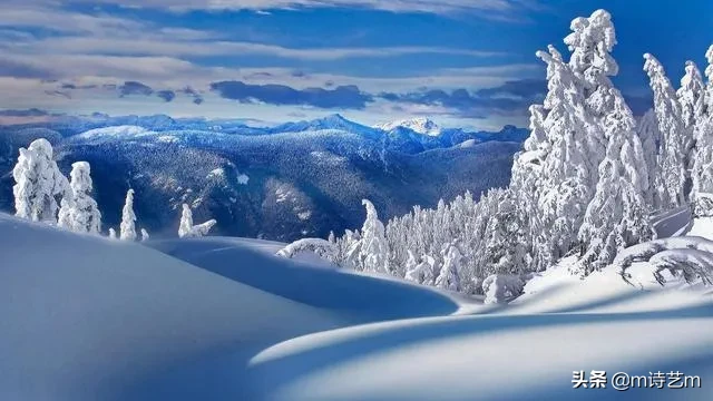 冬雪即景作文500字动静结合