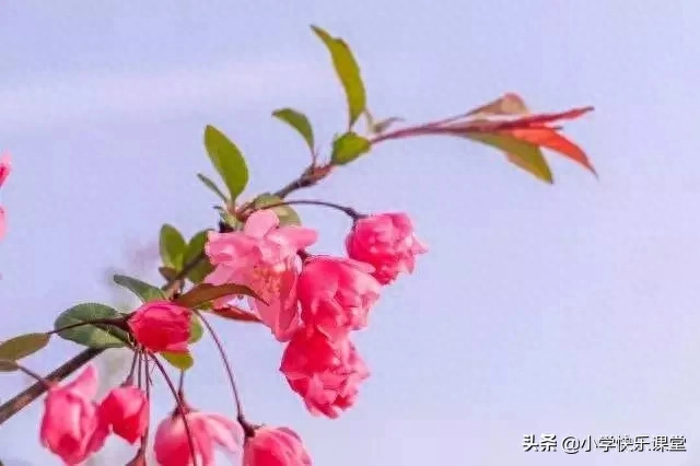 这就是我作文300字小学习作《这就是我》