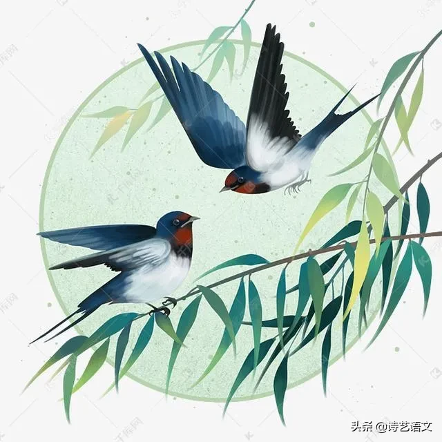 燕子飞回来了作文300字