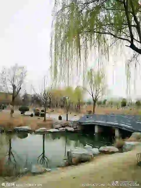 美丽的春天300字作文三年级