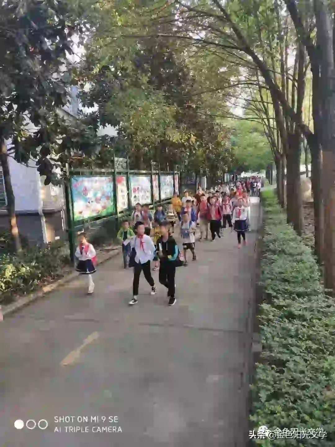 写观察日记（精选12篇）
